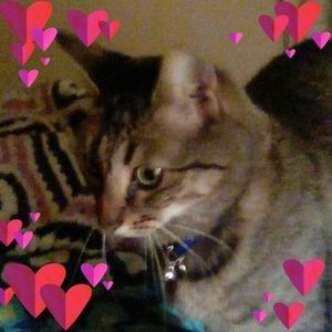 Meet your Posher, Phyllis